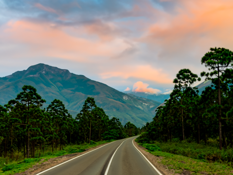 RUTAS TURISTICAS