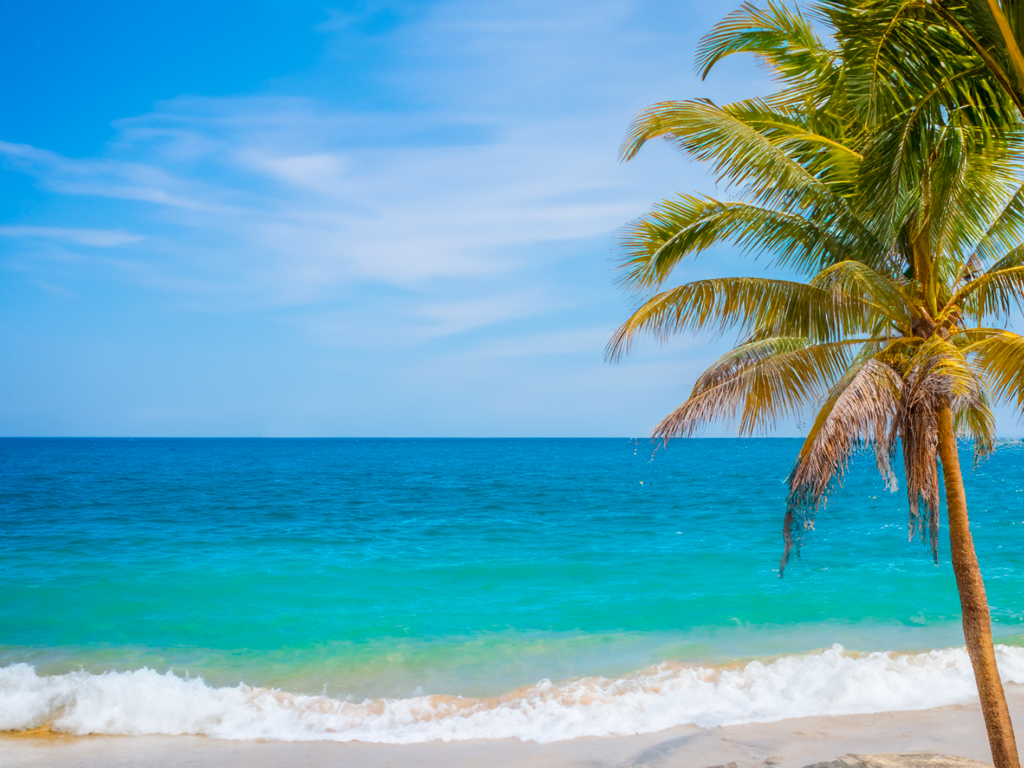playas honduras